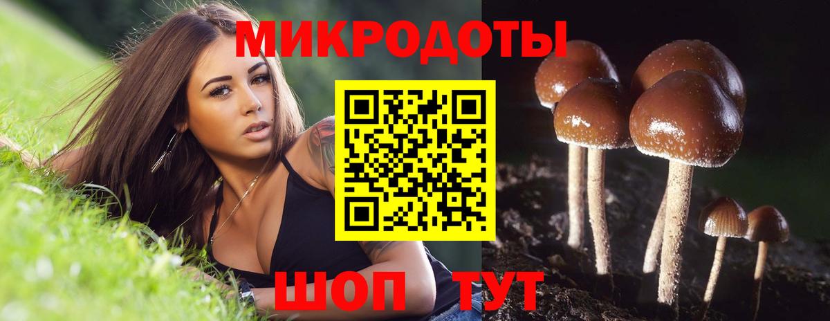 Асино  Псилоцибиновые грибы GOLDEN TEACHER  Вход с VPN  Галлюциногенные грибы GOLDEN TEACHER 